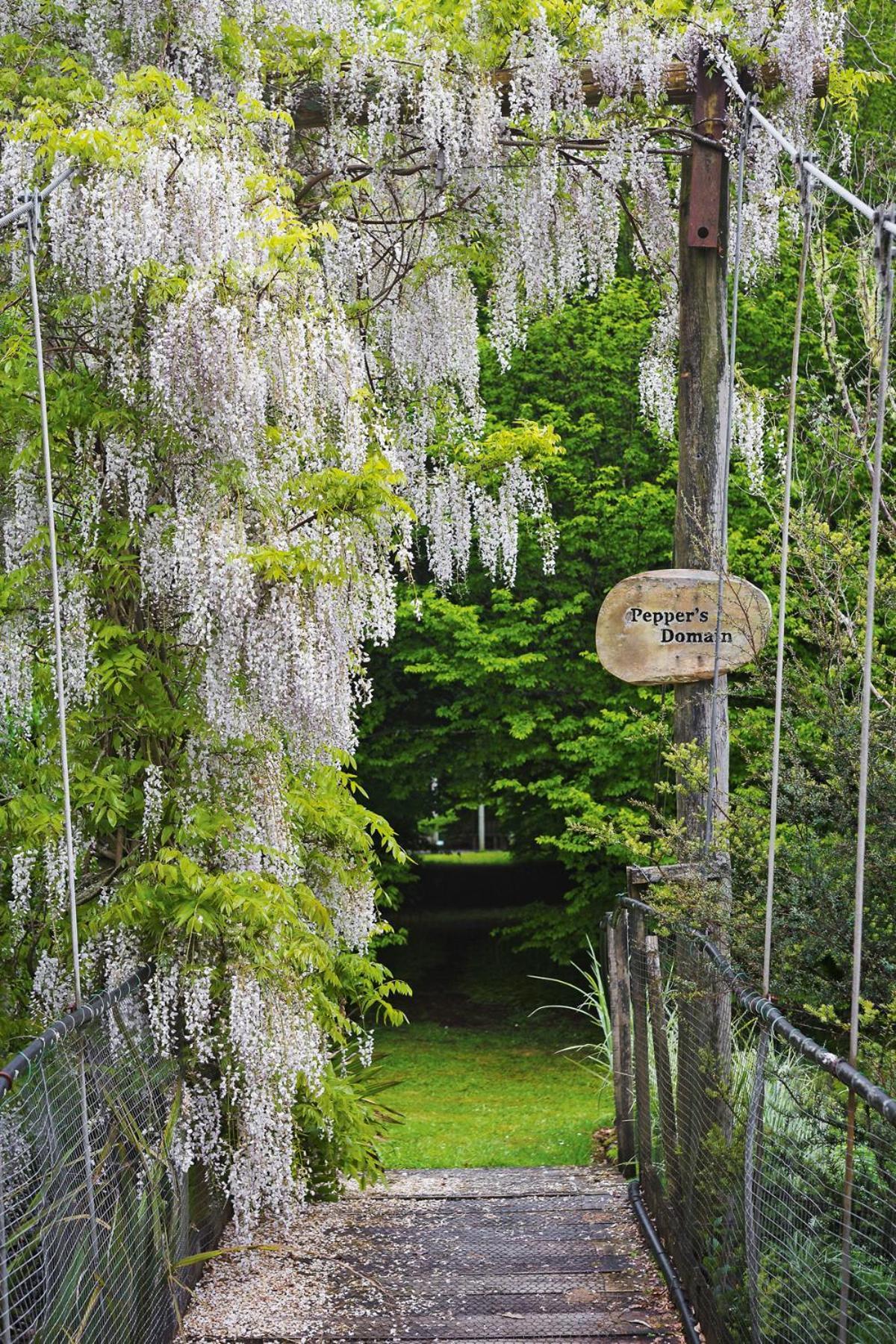 Tepopo Gardens Rural Retreat Villa Stratford Eksteriør billede