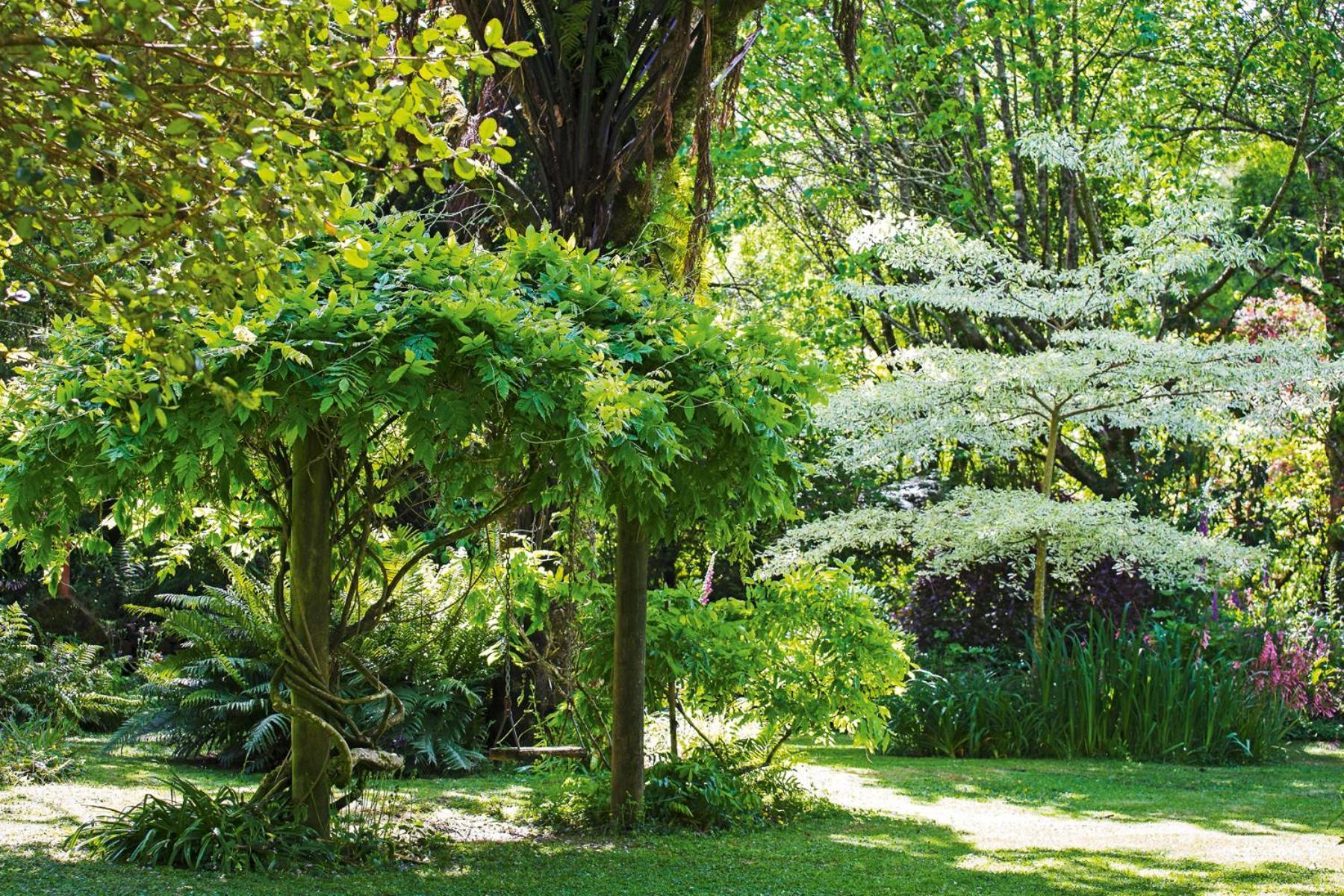 Tepopo Gardens Rural Retreat Villa Stratford Eksteriør billede