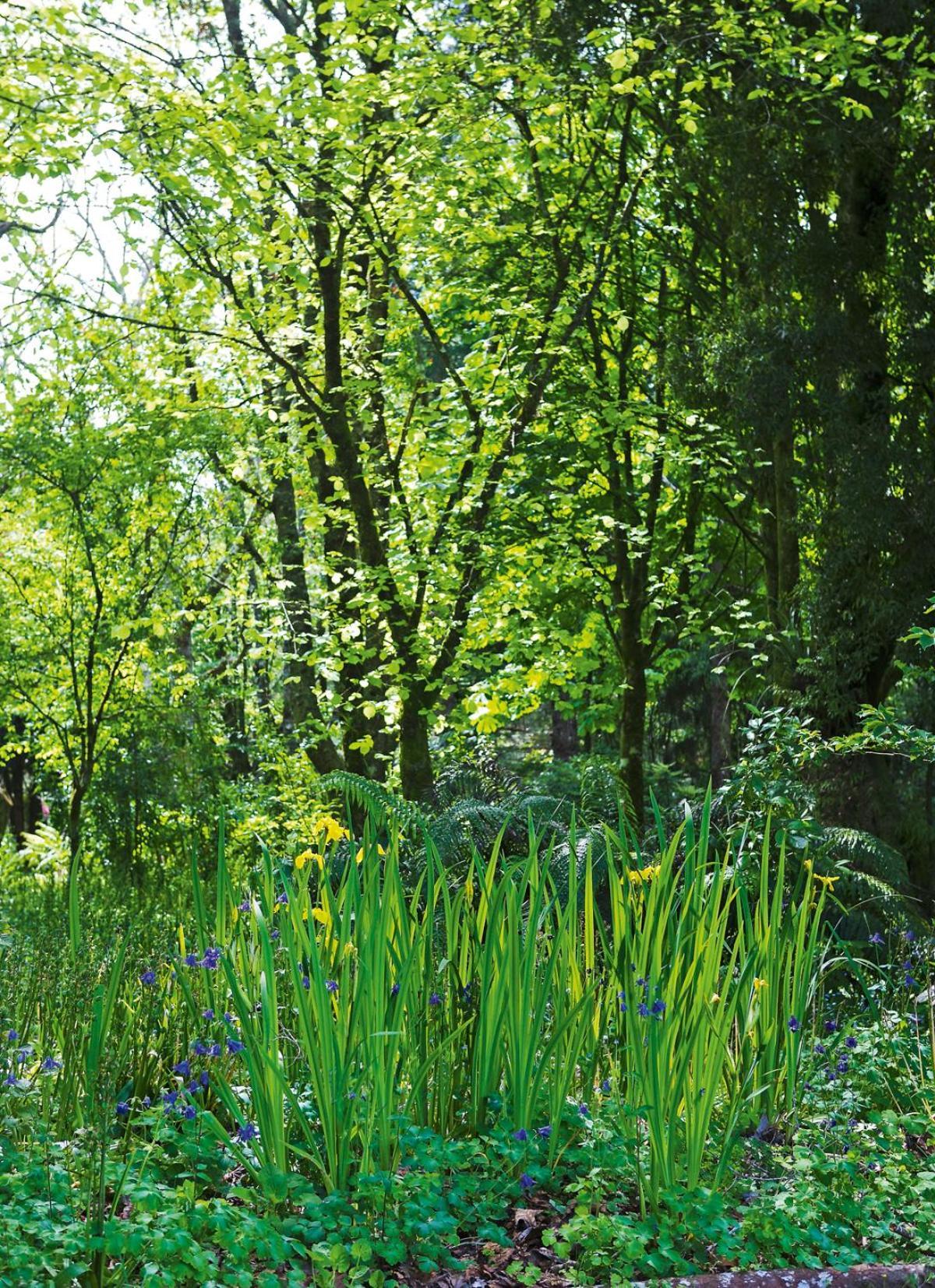 Tepopo Gardens Rural Retreat Villa Stratford Eksteriør billede